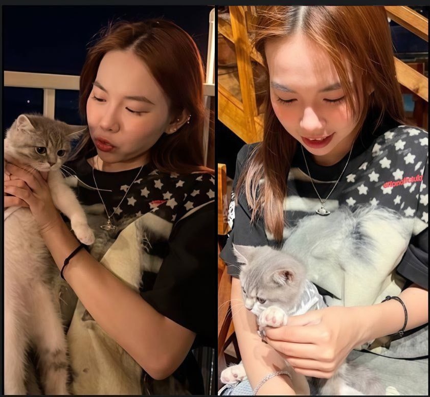 Phim sex Idol TikTok - Sex mới Bảo Ngọc thích nuôi mèo và cho chim ăn